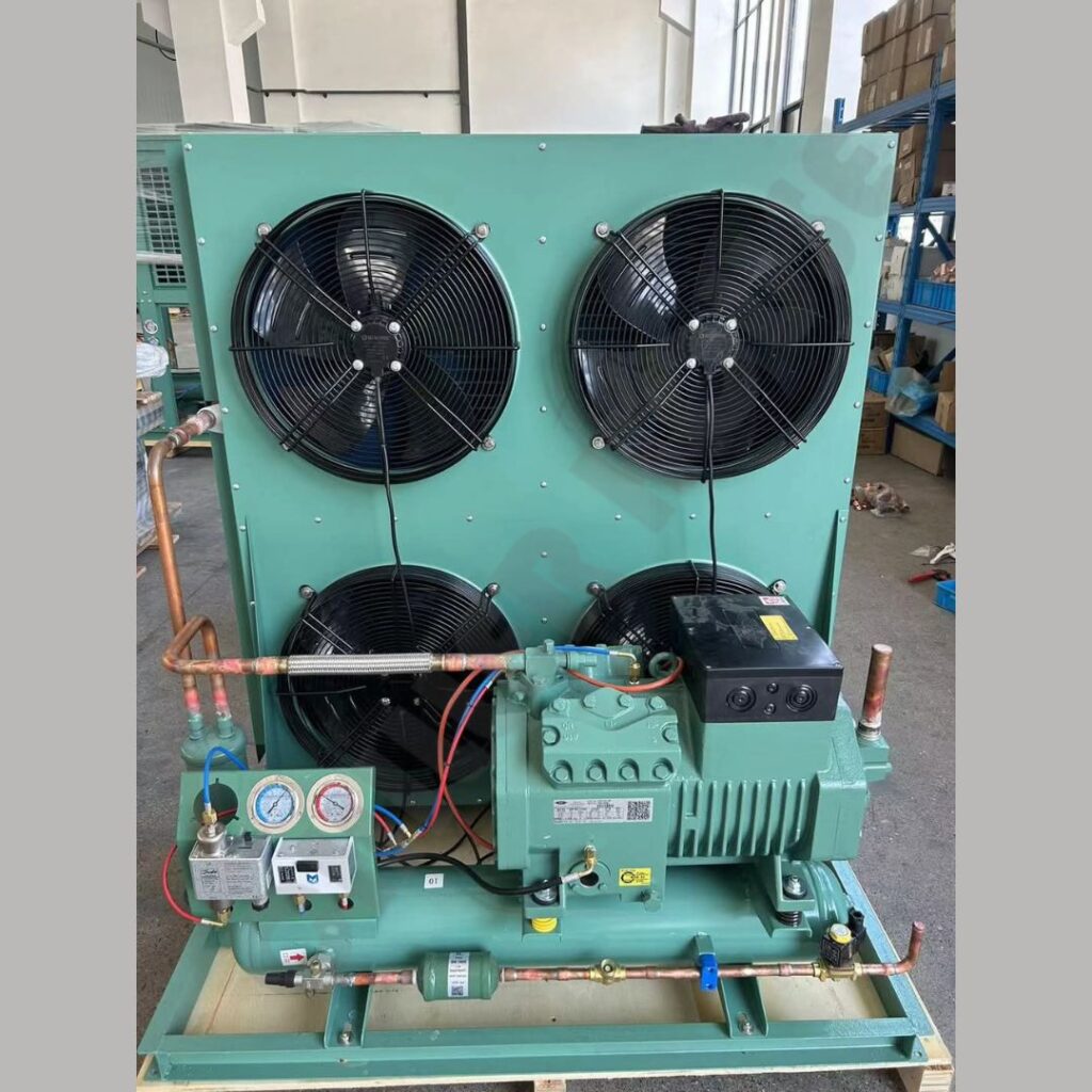 Cold Storage Room - 3