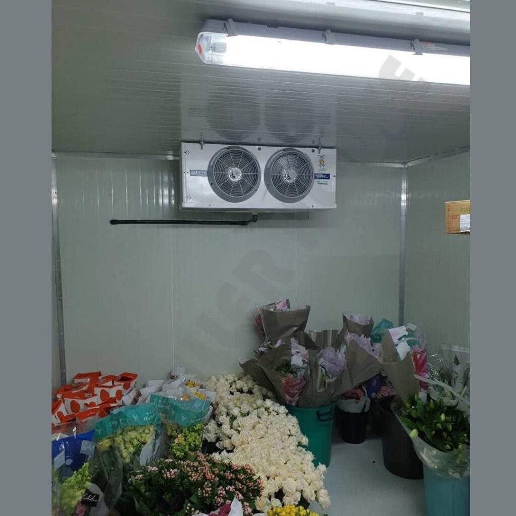 Cold Storage Room - 5